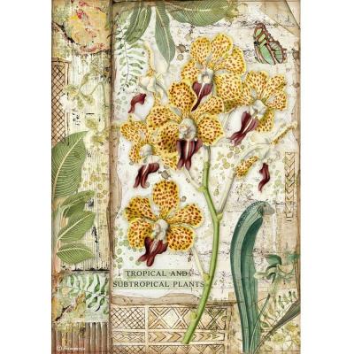 Stamperia Amazonia Rice Paper - Orchid